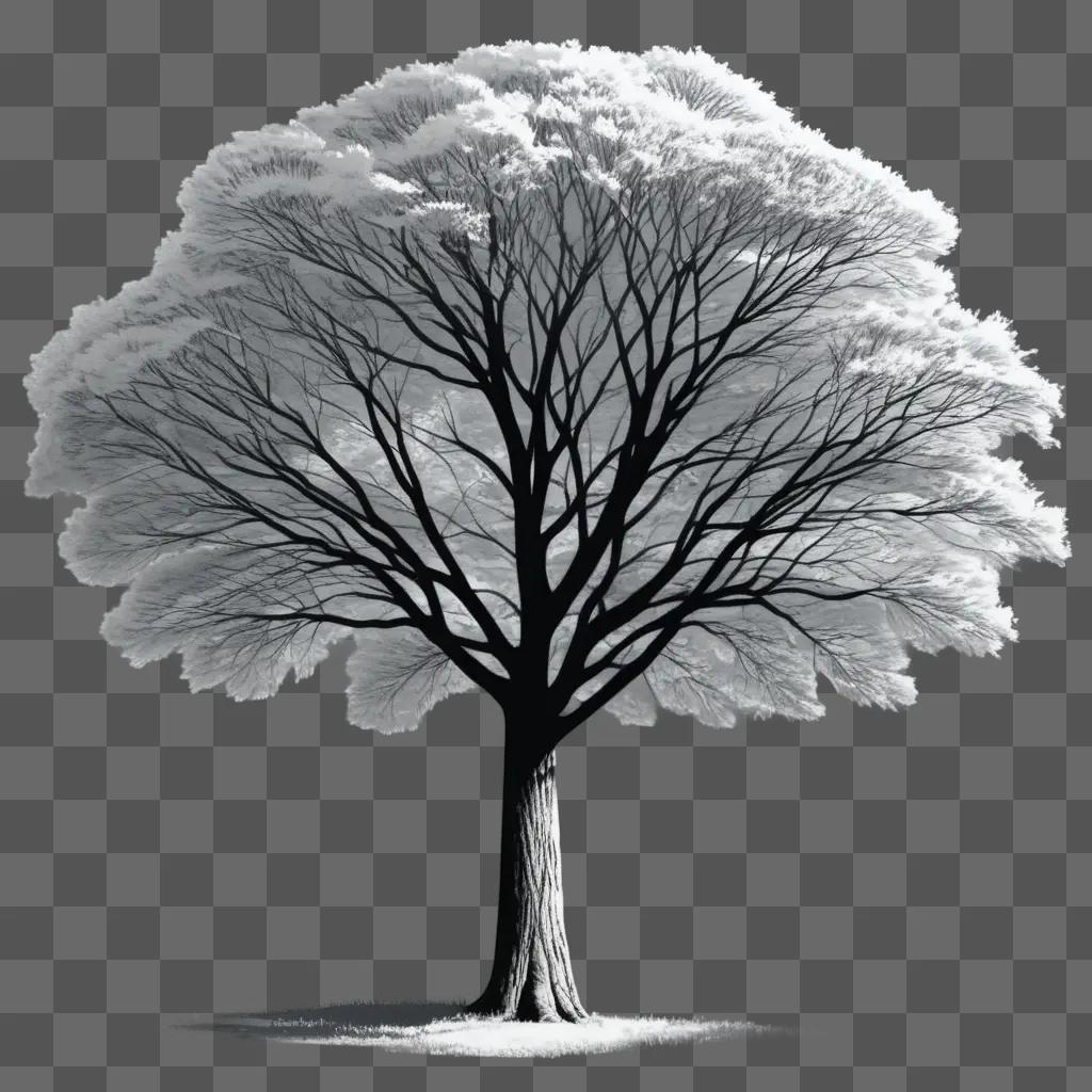 地面に雪が積もった黒と白の木