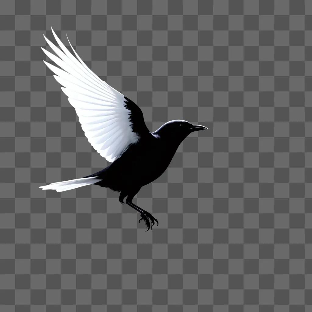 Black bird with white wings and feathers flying