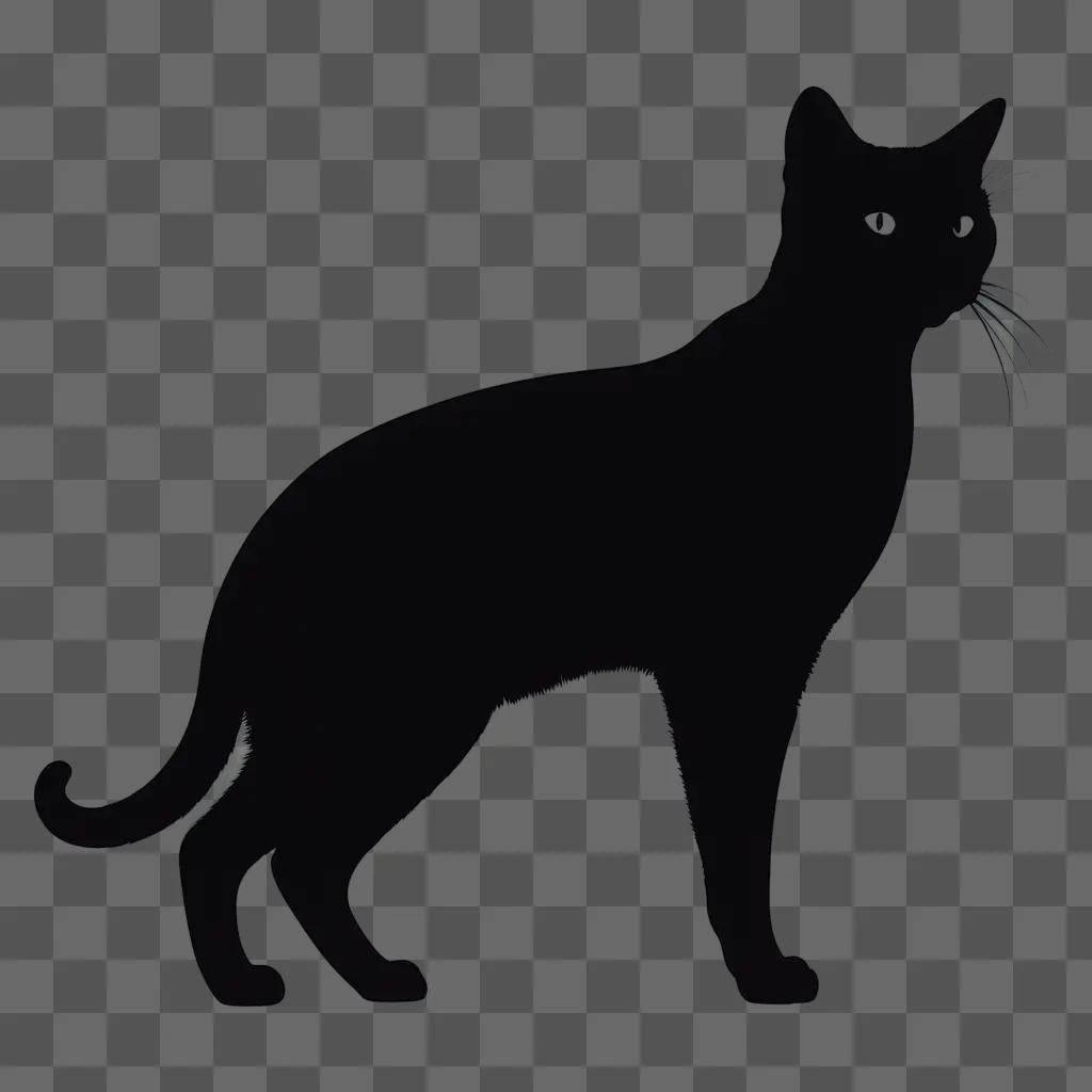 Black cat silhouette on a dark background