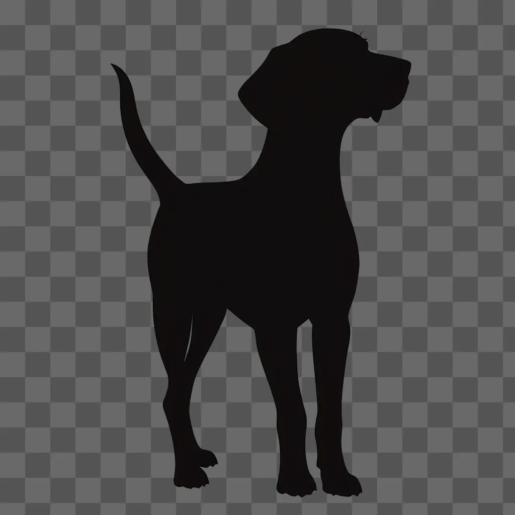 Black dog silhouette against a dark background