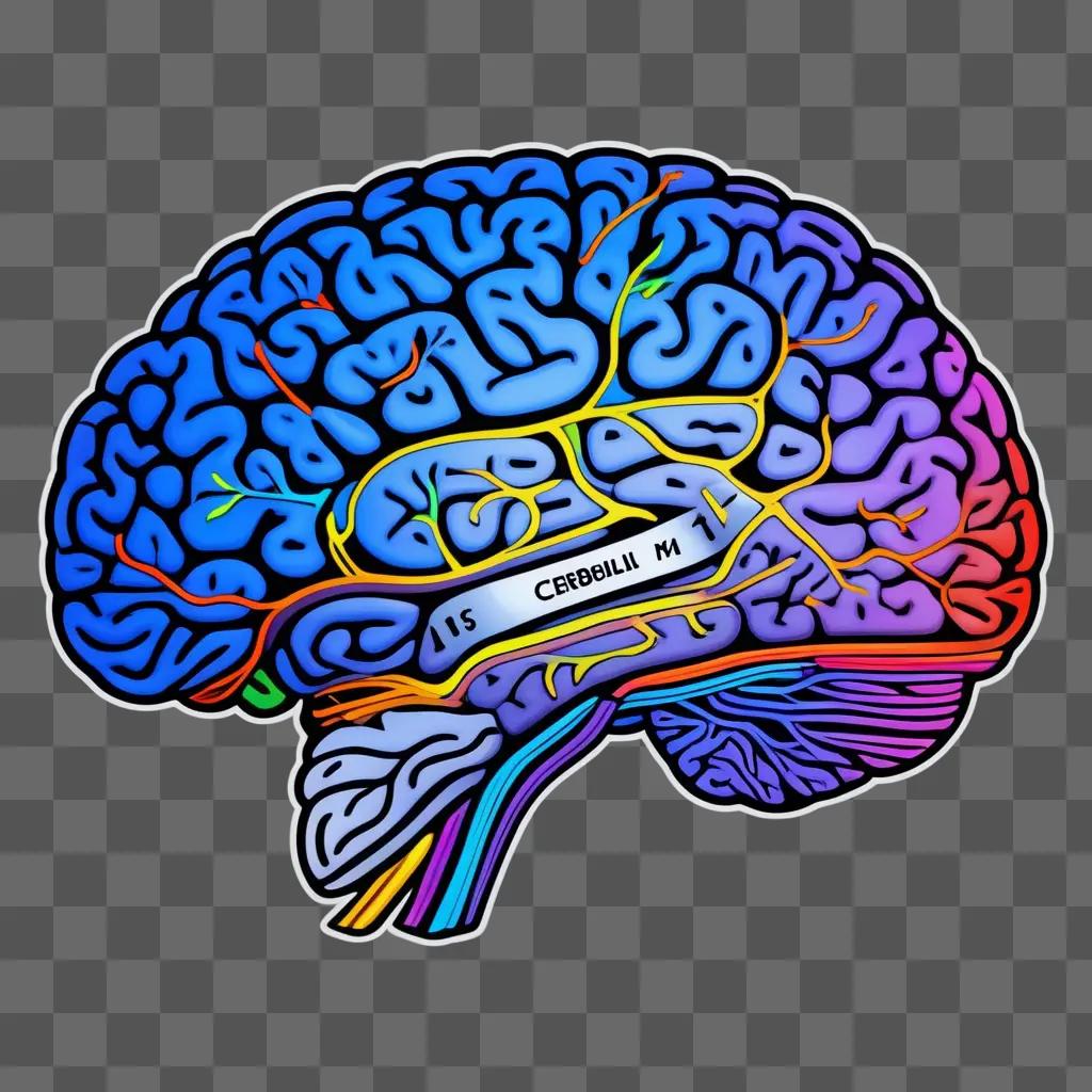 Brain drawing for kids with multicolored lines