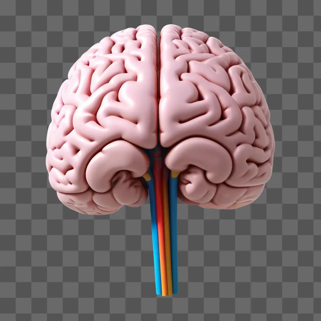 複数の色でリアルなスタイルで描かれた脳