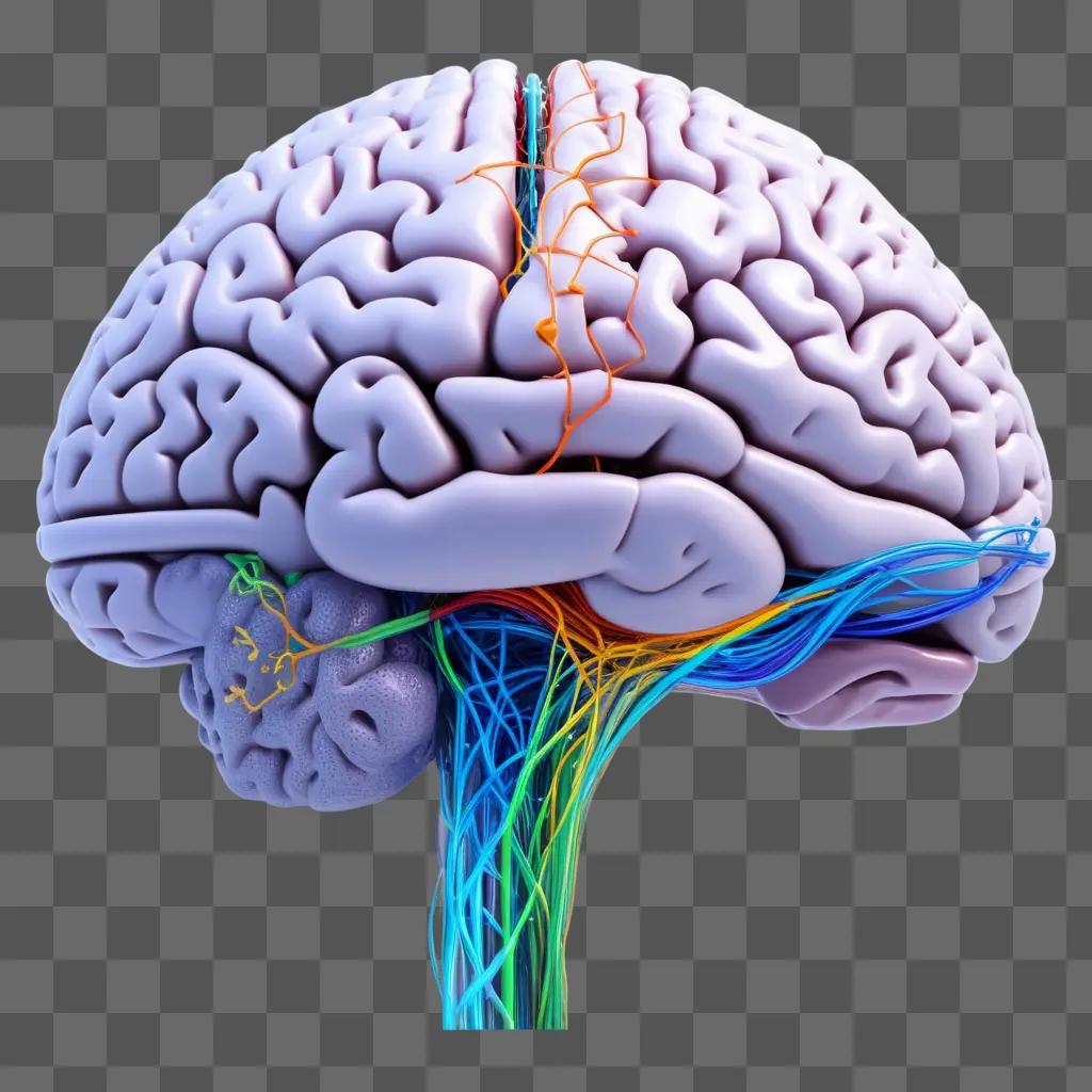 Brain in colorful clipart design