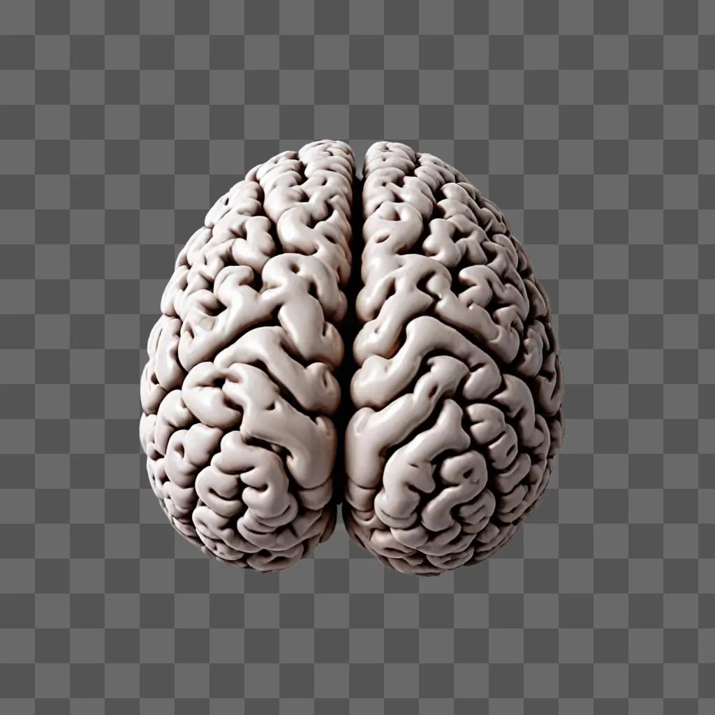 Brain sketch of a two-parted human brain