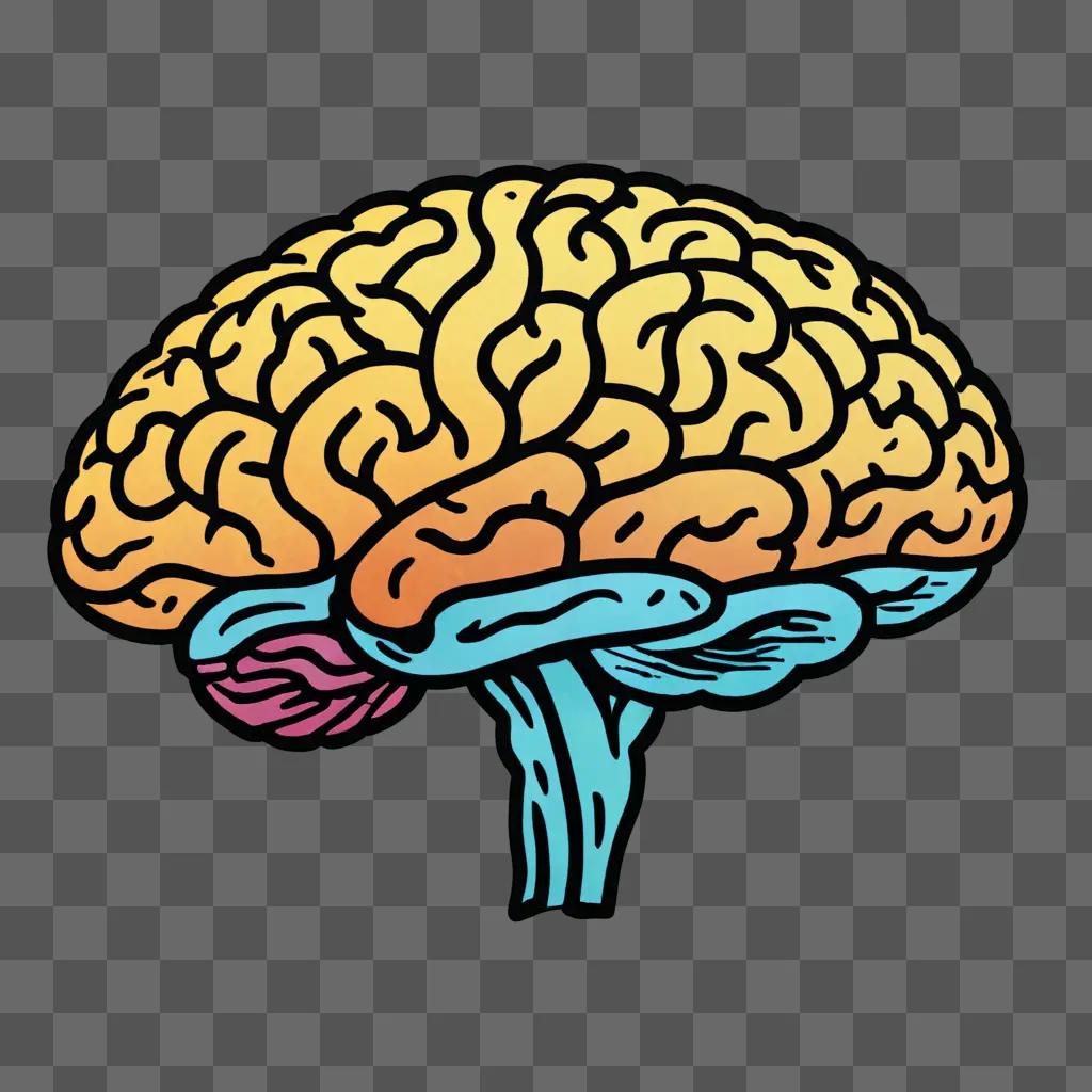 Brain sketch with colorful lines