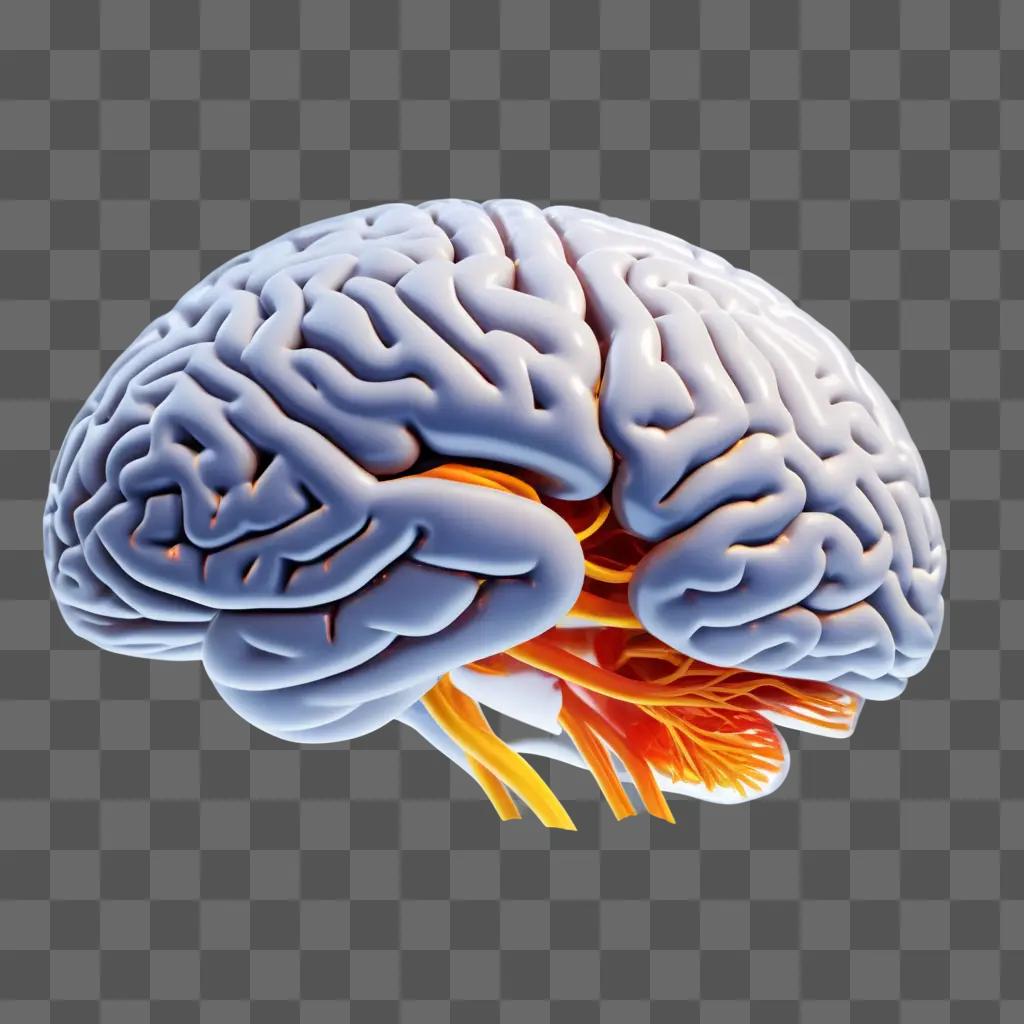 Brain with transparent lines and orange veins