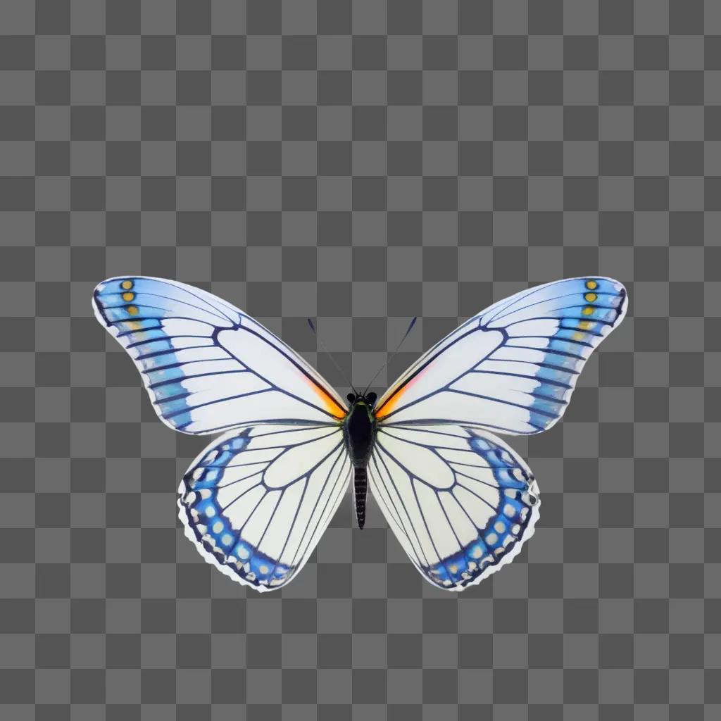 Butterfly with blue and yellow wings on a white background