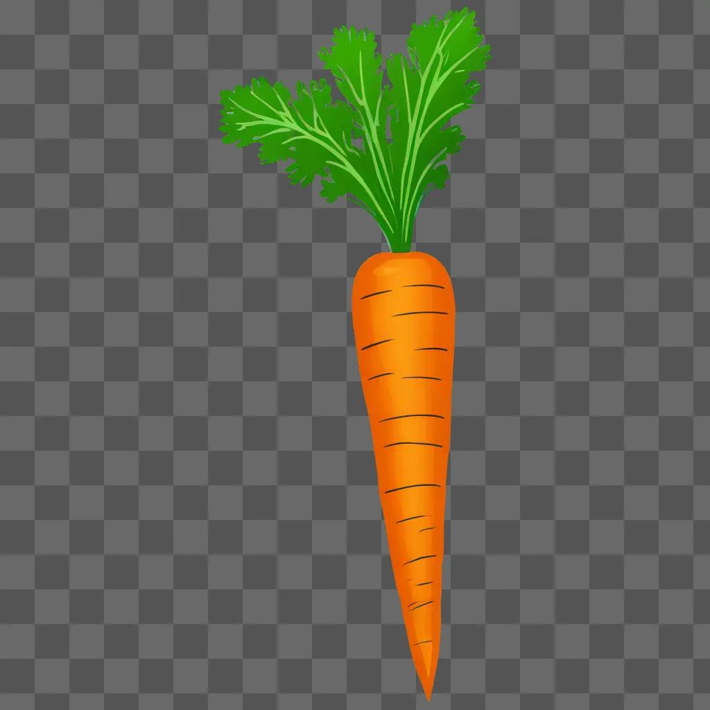 Carrot drawing for kids