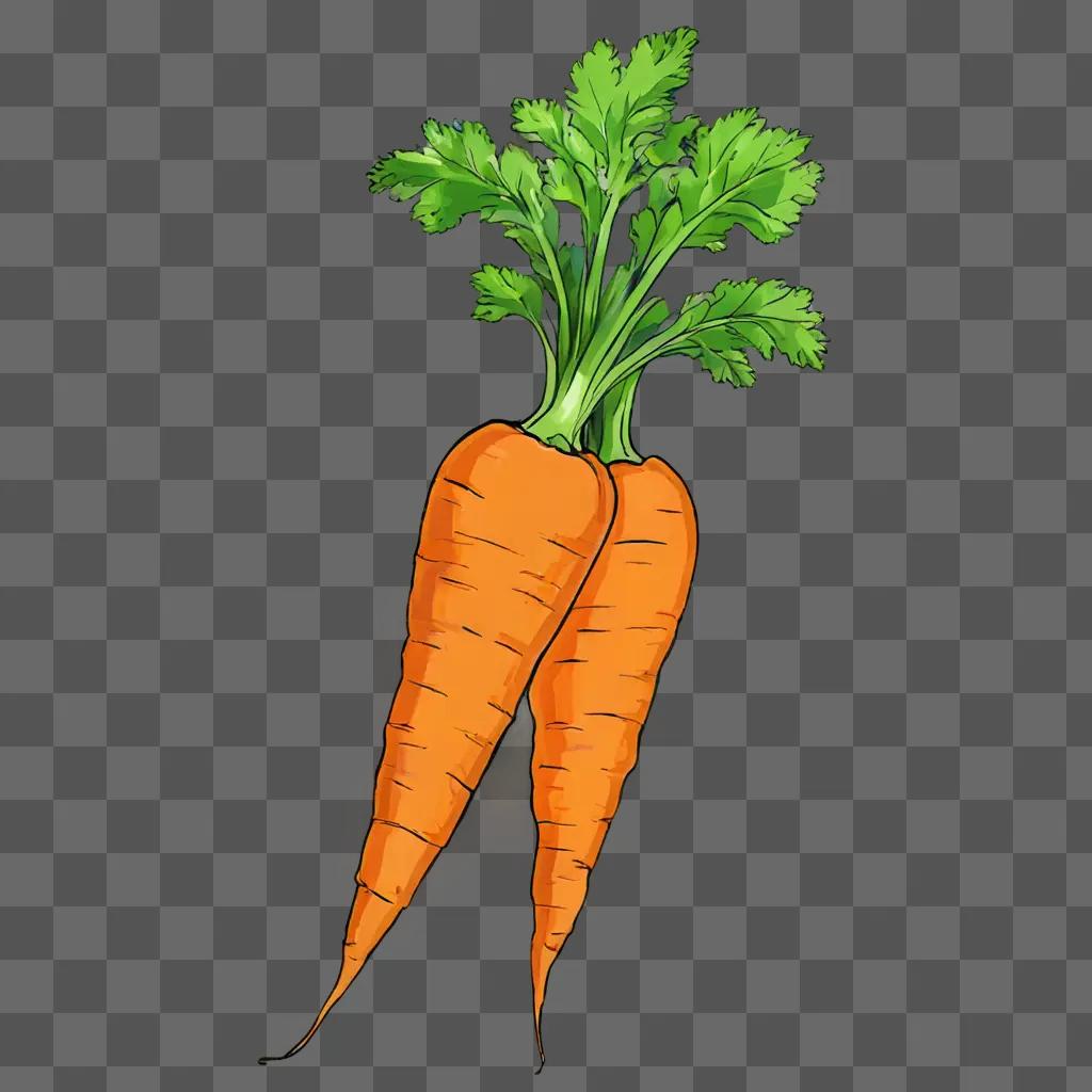 Carrot drawing with colour on green background