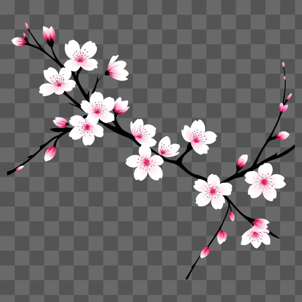 Cherry blossom branch drawing on pink background