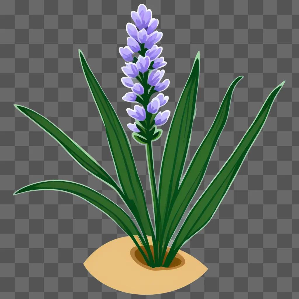 Clipart of a lavender plant in a garden