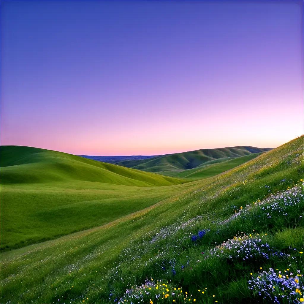 Colorful hills at dusk with wildflowers