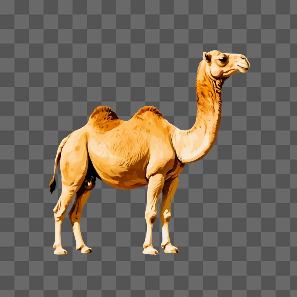 Coy camel drawing on a beige background