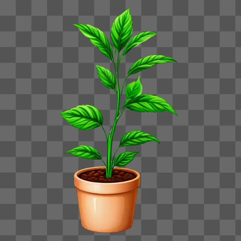 Cute plant drawing in a pot on a green background