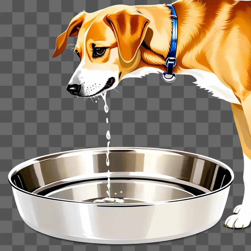 Dog drinking water from a stainless steel water bowl