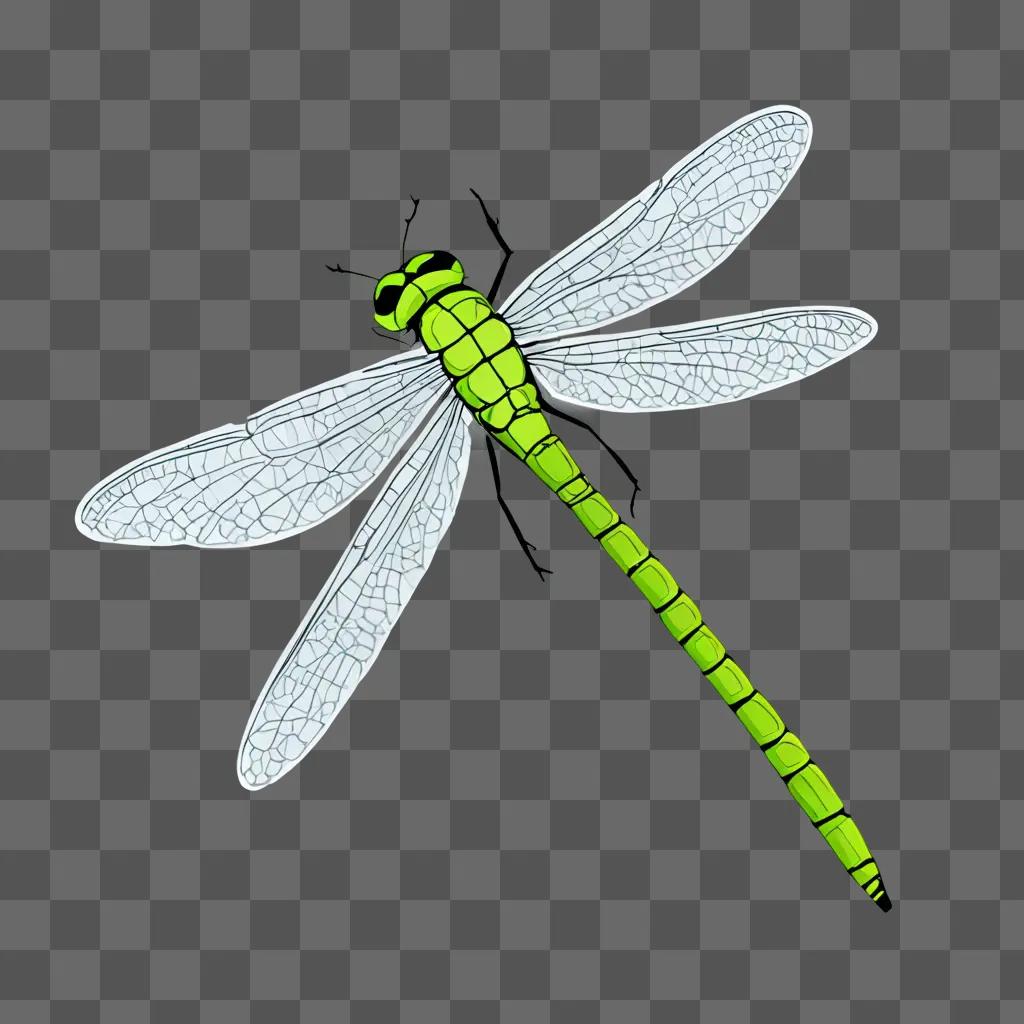 Dragonfly Drawing for Kids