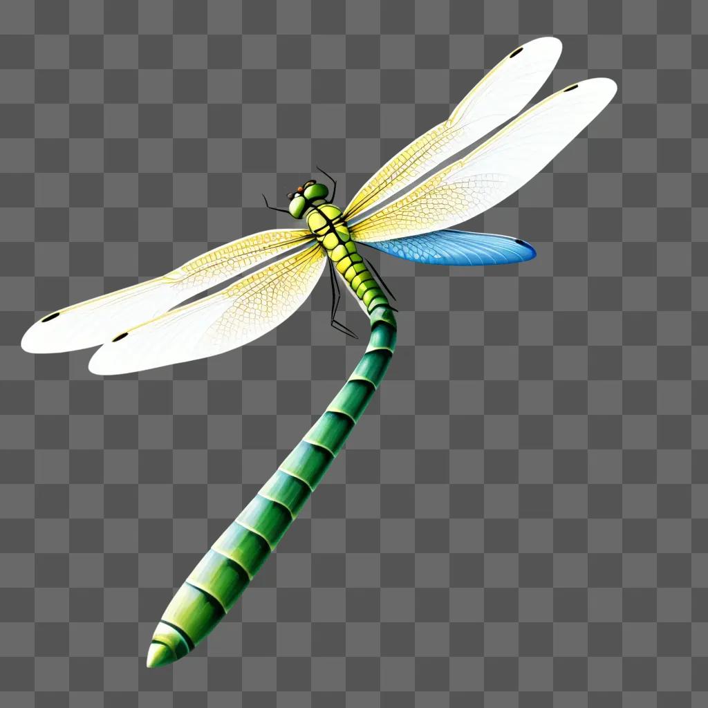 Dragonfly clipart on green background