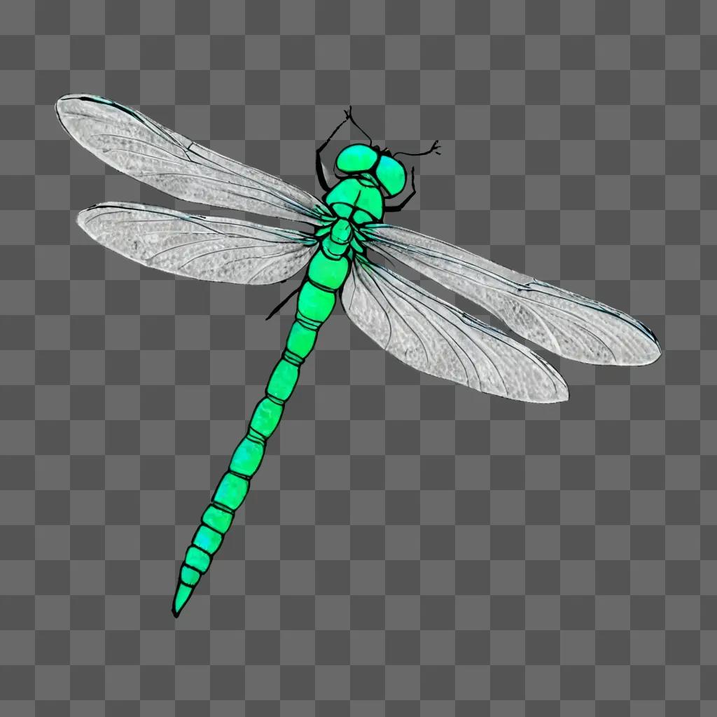 Dragonfly drawing for kids