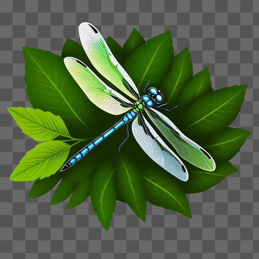 Dragonfly drawing on green leaf with blue and green color