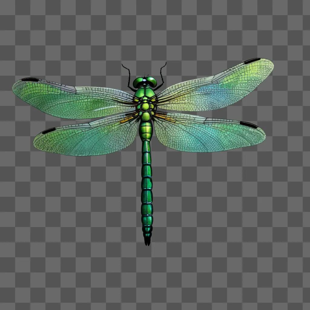 Dragonfly drawn on green background in 3D