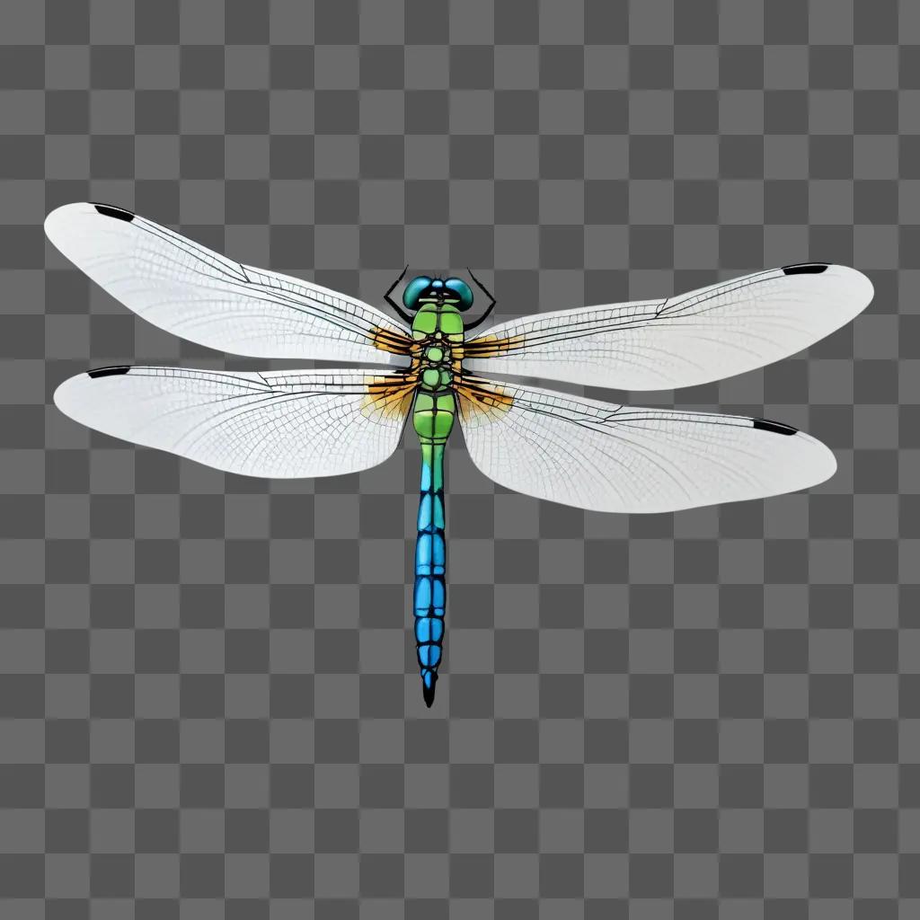 Dragonfly in a simple drawing with bright colors