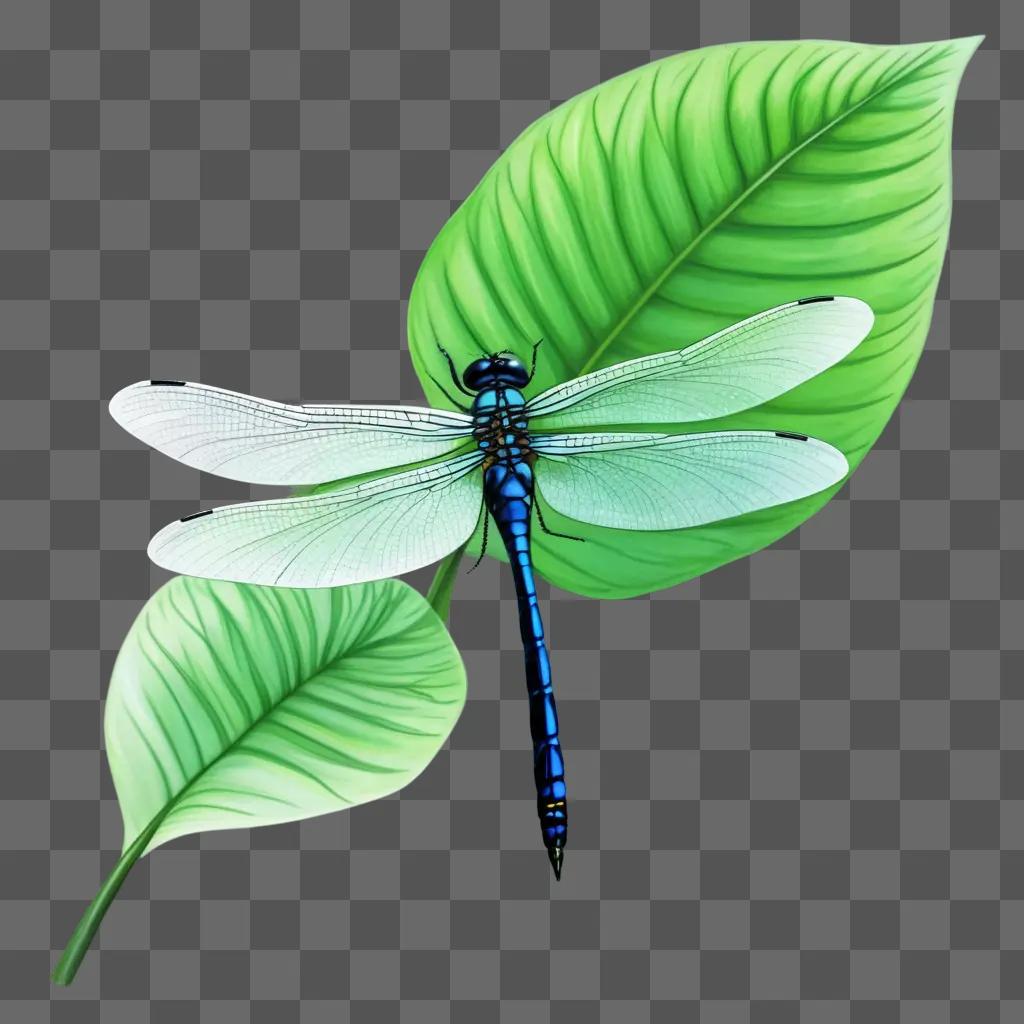 Dragonfly on a leaf in a green background