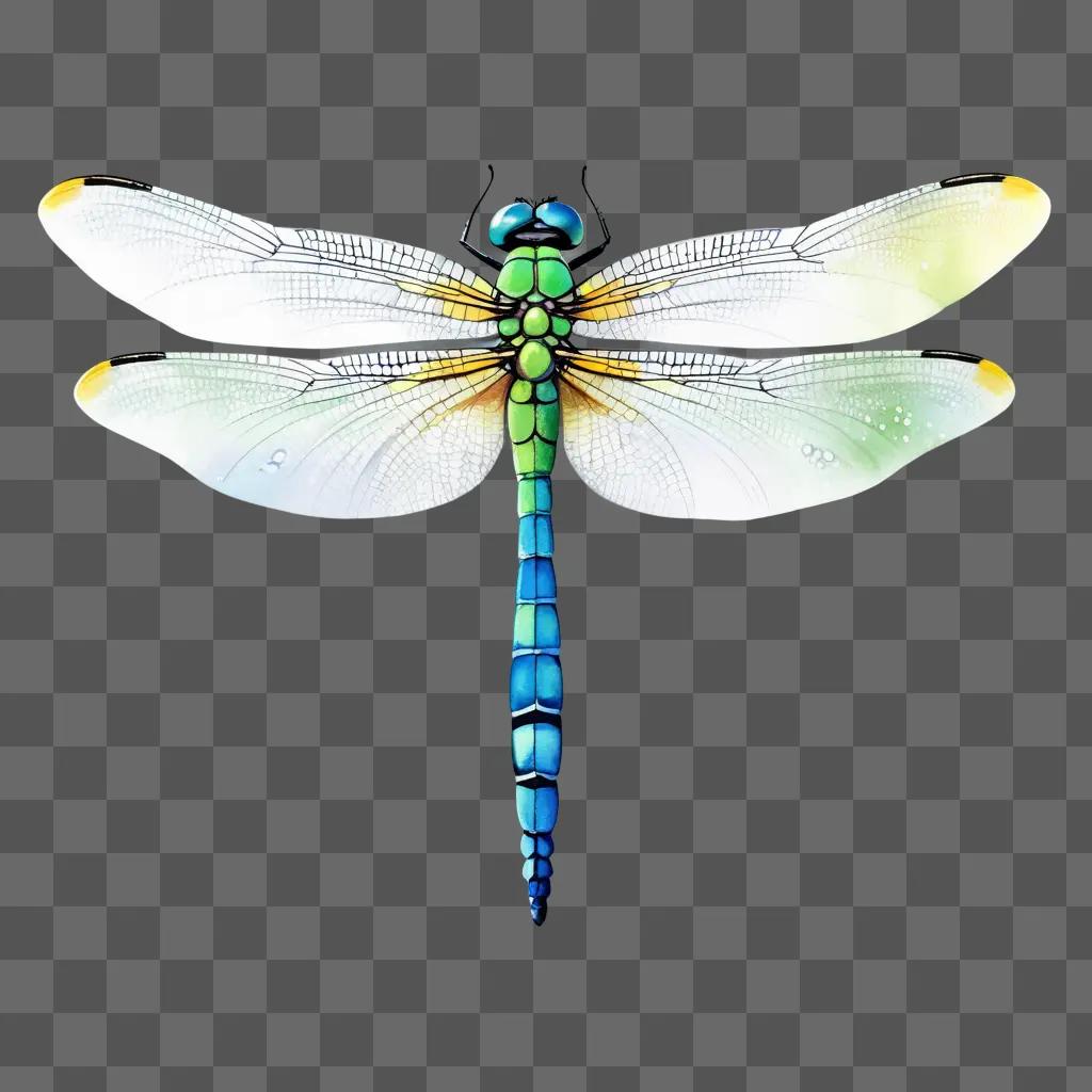 Dragonfly with multicolored wings on a white background