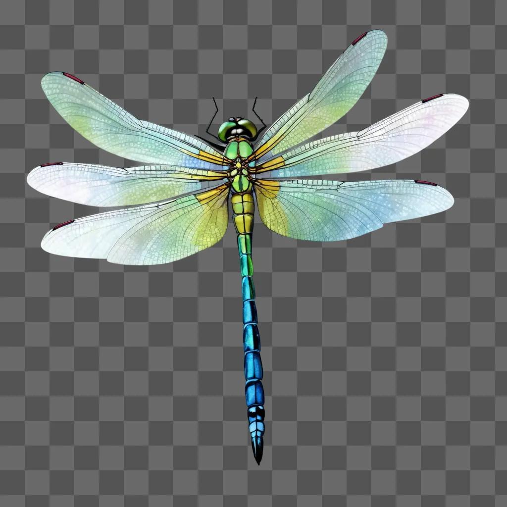 Dragonfly with wings spread, drawn on a gray background