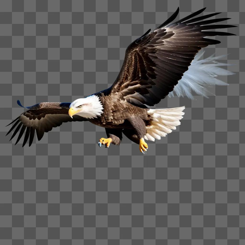 Eagle spreads wings, showing the transparency of the image