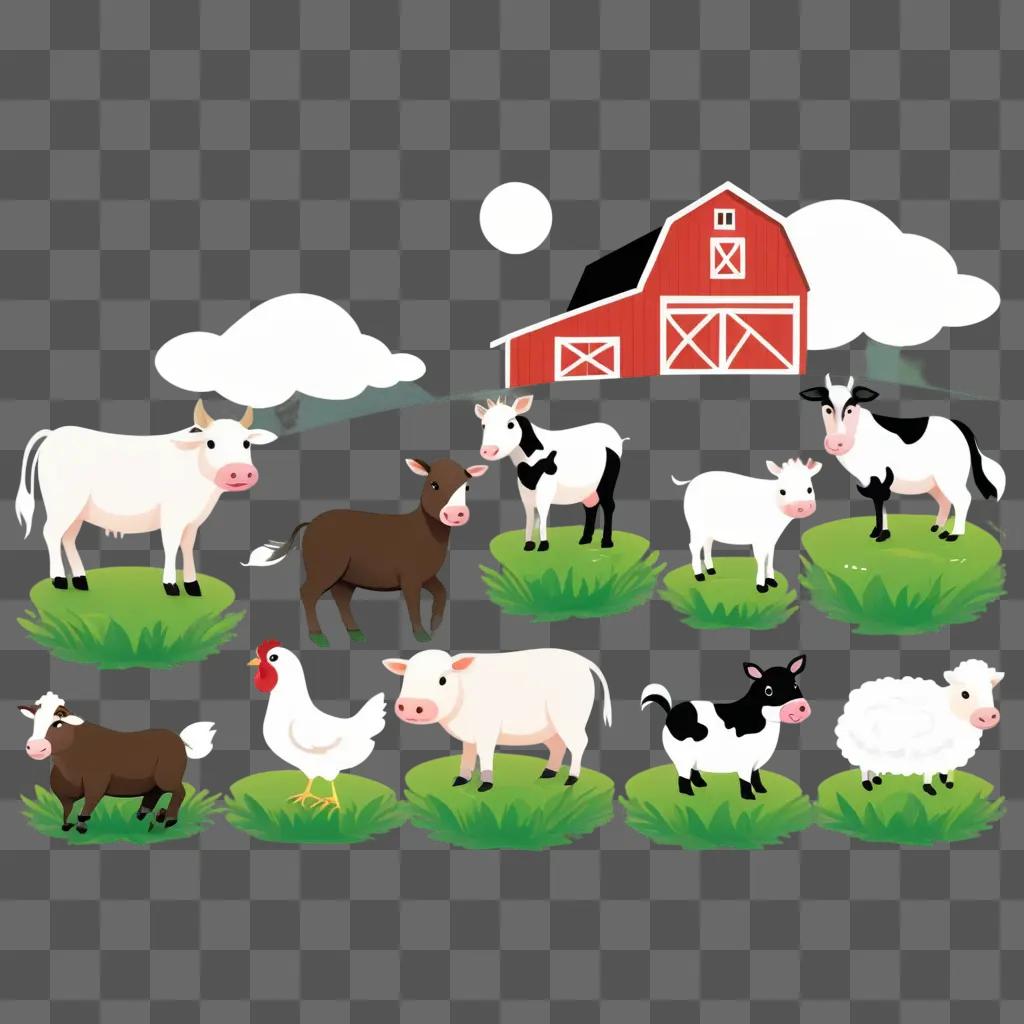 Farm animals on grass with barn in background