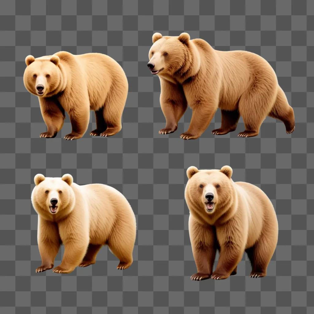 Four bears in different poses on a brown background