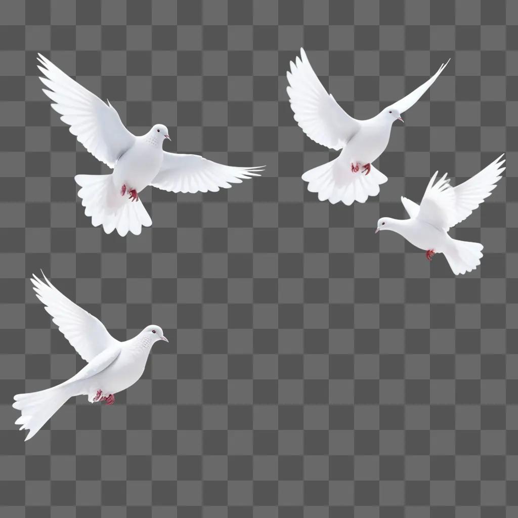 Four white birds flying in the sky