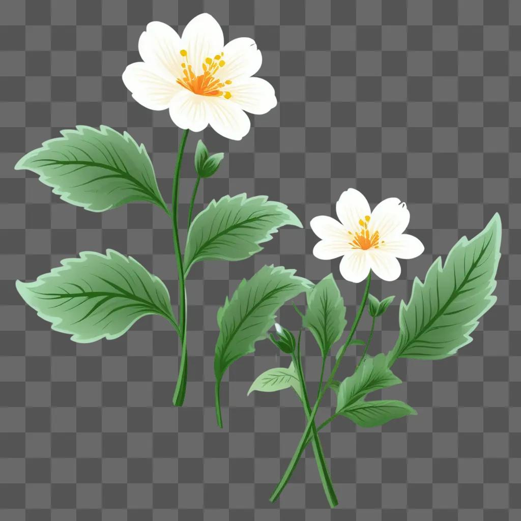 Free clipart flowers, two white flowers, green leaves, and a green background