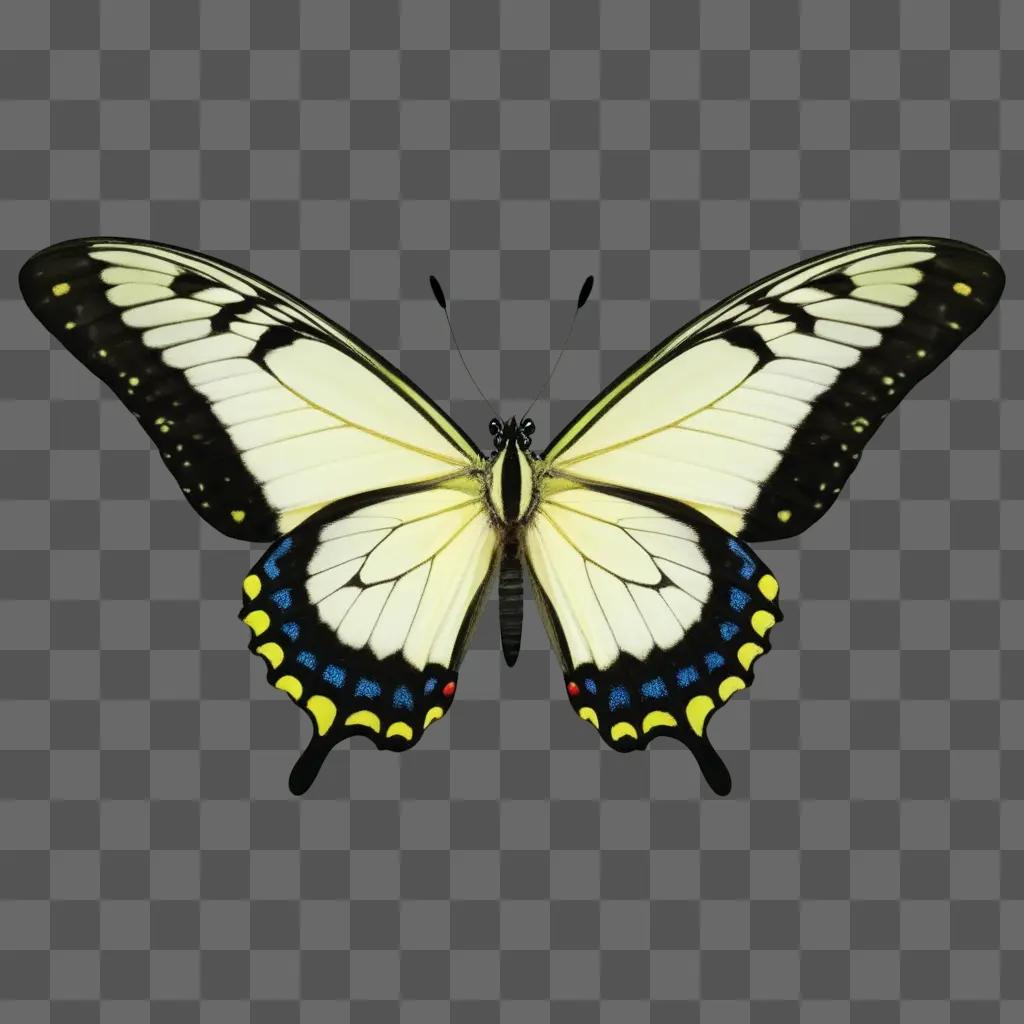 Free flying butterfly with blue and yellow markings