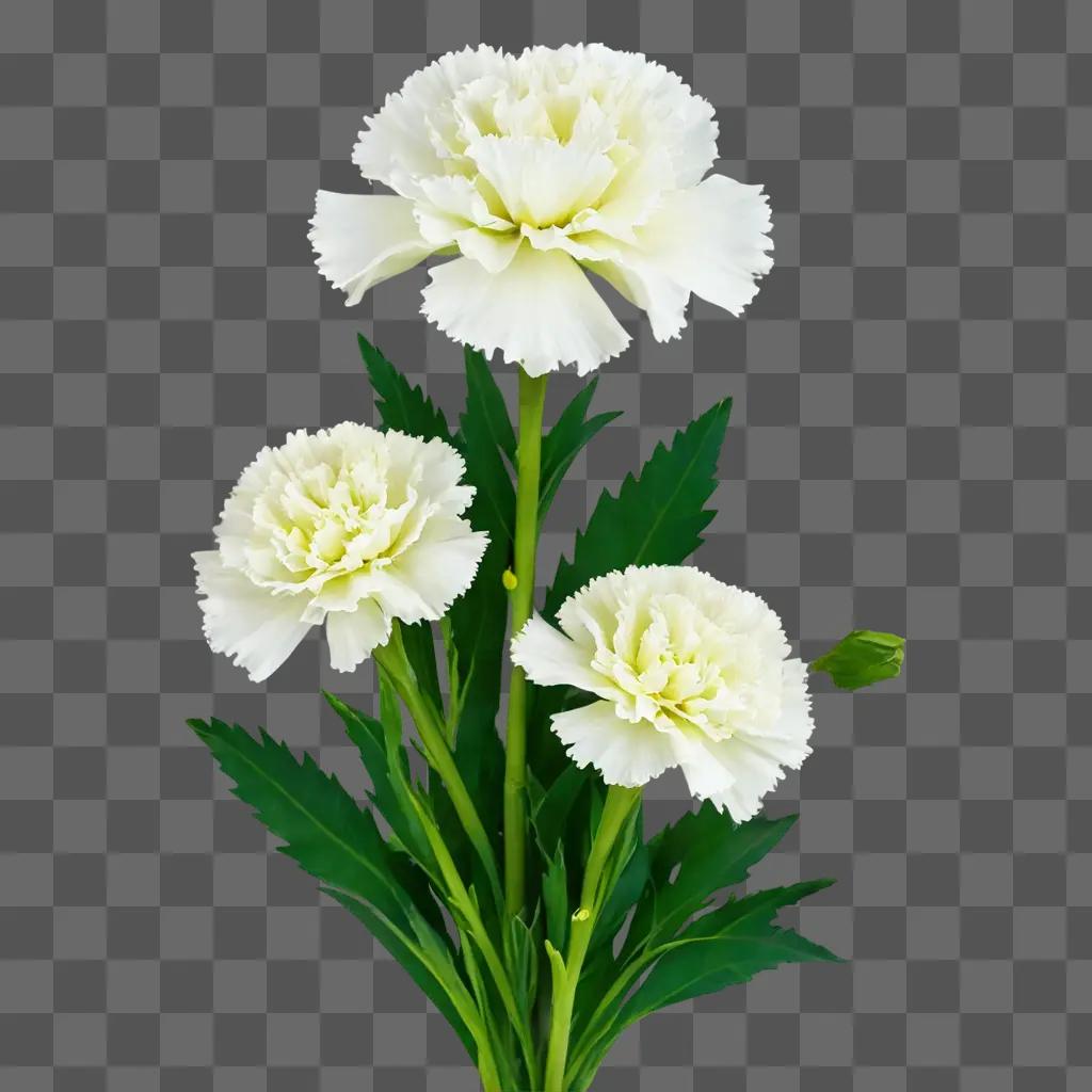 Green and white carnations bloom in a serene garden