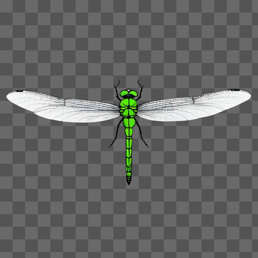 Green dragonfly with white wings in a light painting