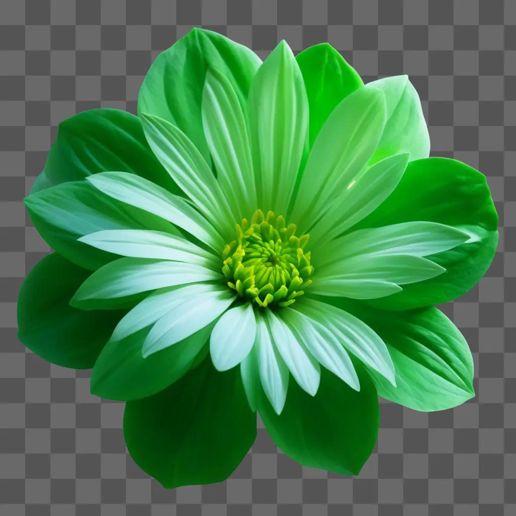 Green flower blooms in a green background