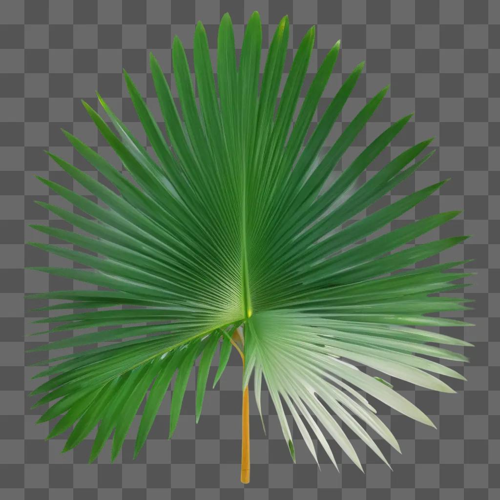 Green palm leaves with a green background