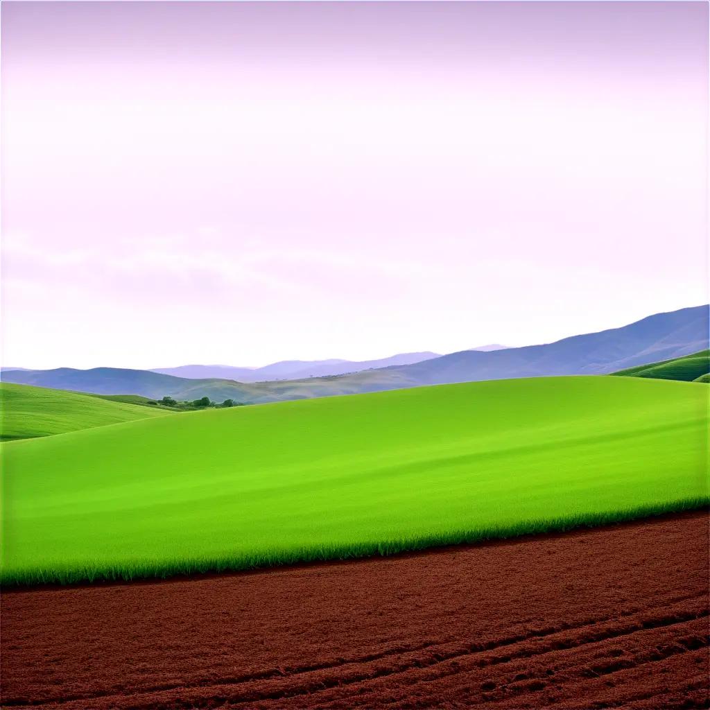 Green rolling hills with dirt ground