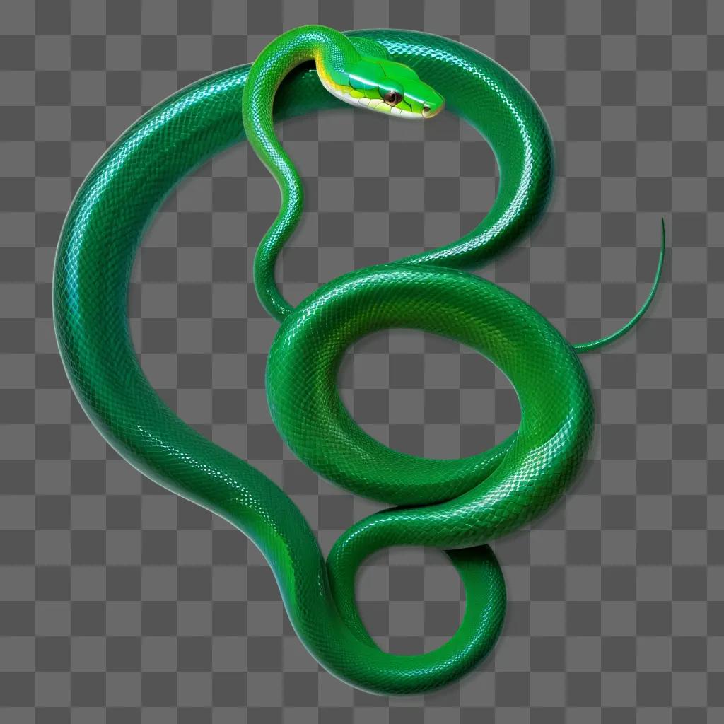 Green snake with transparent body