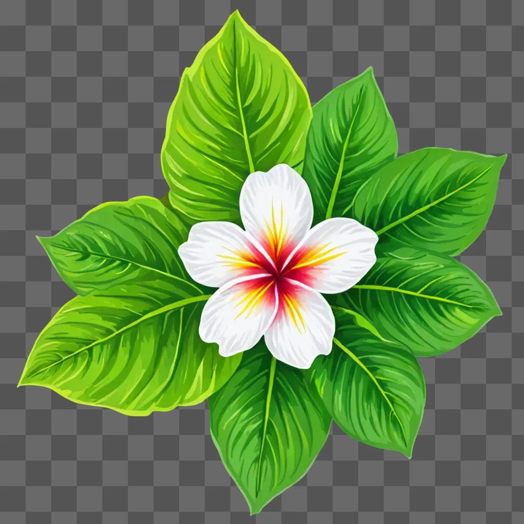 Hawaiian flower drawing on green background