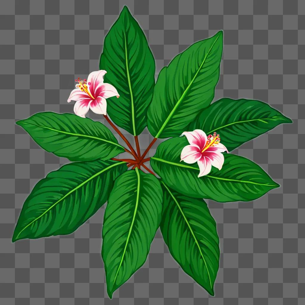 Hawaiian flower drawing with leaves