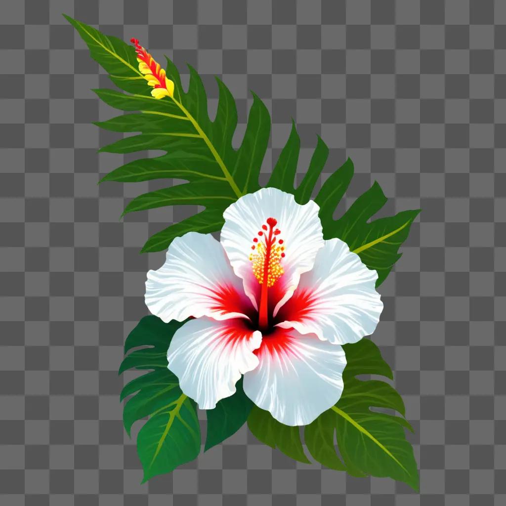 Hawaiian flower with red and white color