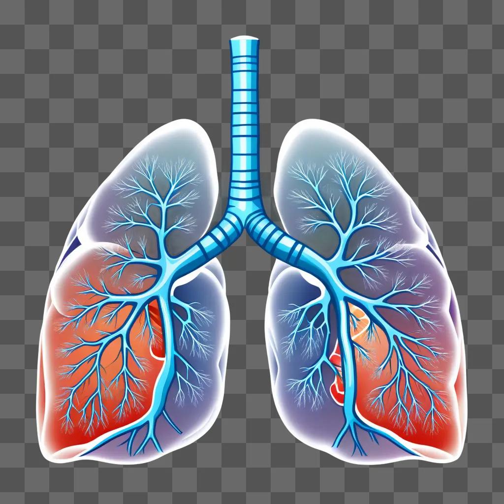 Healthy clipart of lungs with blue color