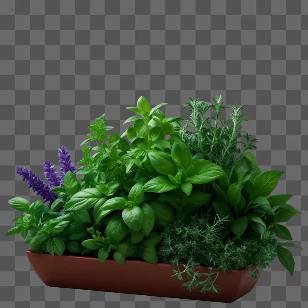 Herbs grow in a red pot against a green background