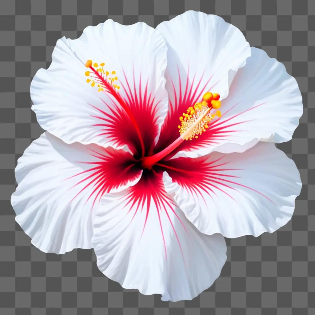 Hibiscus drawing in white and red