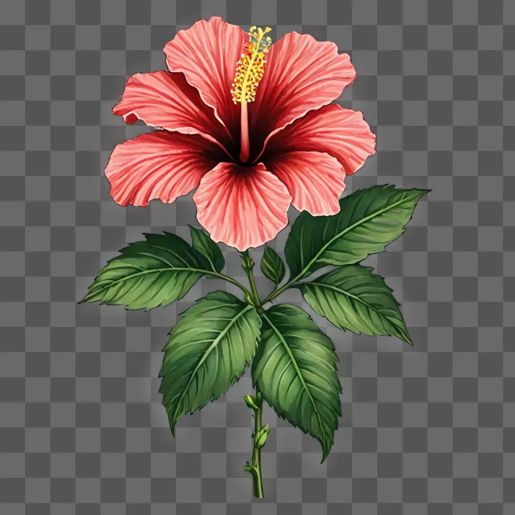 Hibiscus flower drawing with green leaves