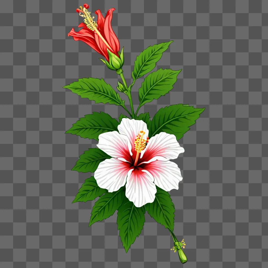 Hibiscus flower drawing with vibrant colors