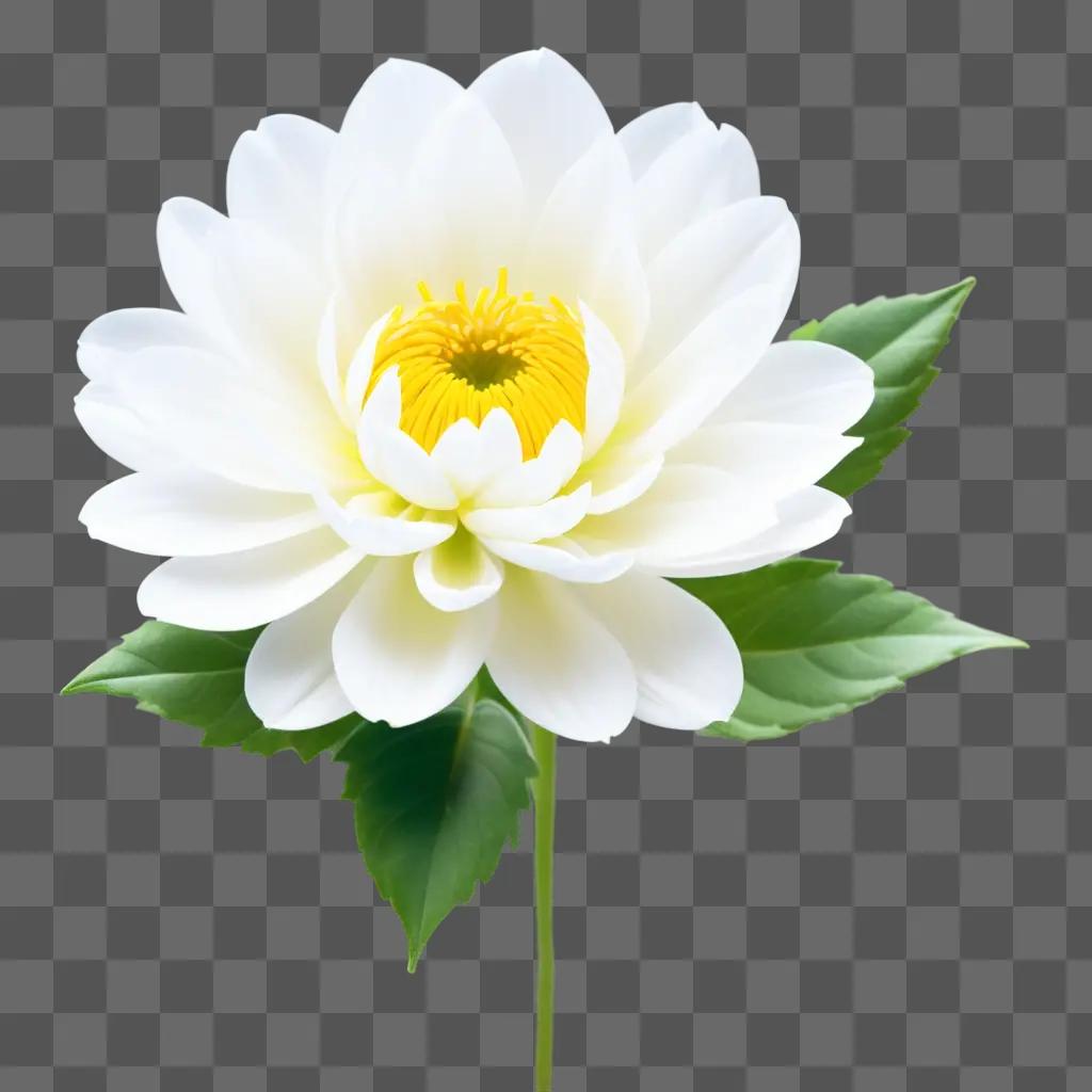 High resolution image of a white flower with green leaves