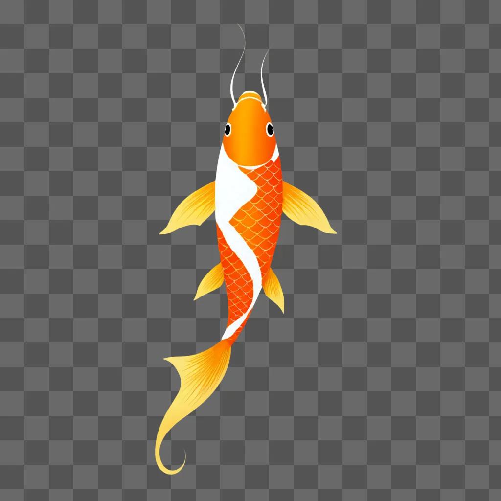 Koi fish with white and orange colors on orange background